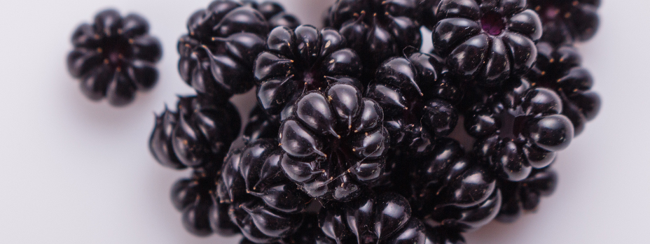 Die Beeren der amerikanischen Kermesbeere sind stark rot färbend. Diese Eigenschaft machten sich die nordamerikanischen Indianer zunutze, um Korbwaren einzufärben.
